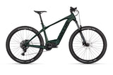 KELLYS Tygon RS50 P Pine Forest L 29" 820Wh